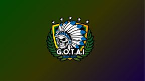 Mikes Invade Anizay - GOTAI