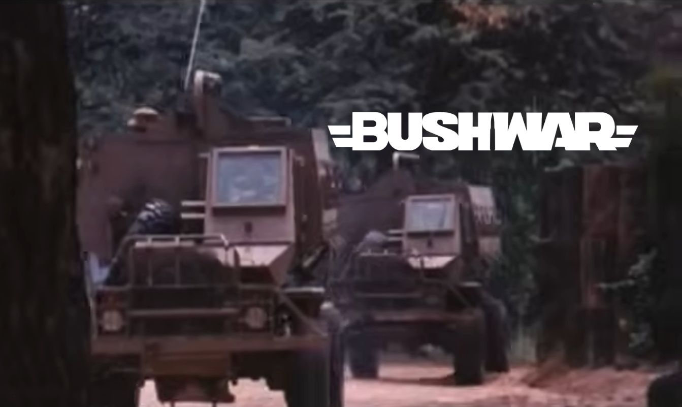 BUSHWAR - BUFFEL MPV SADF preview