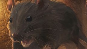 Render Entities 2KM TEST