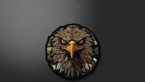 WDmodular Vests want Backpacks