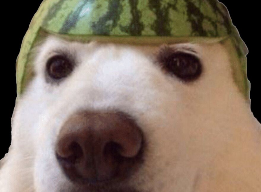 Target Rich Enviroment