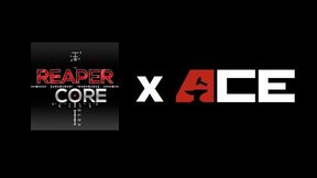 New Reaper-Ace Compatibity Mod