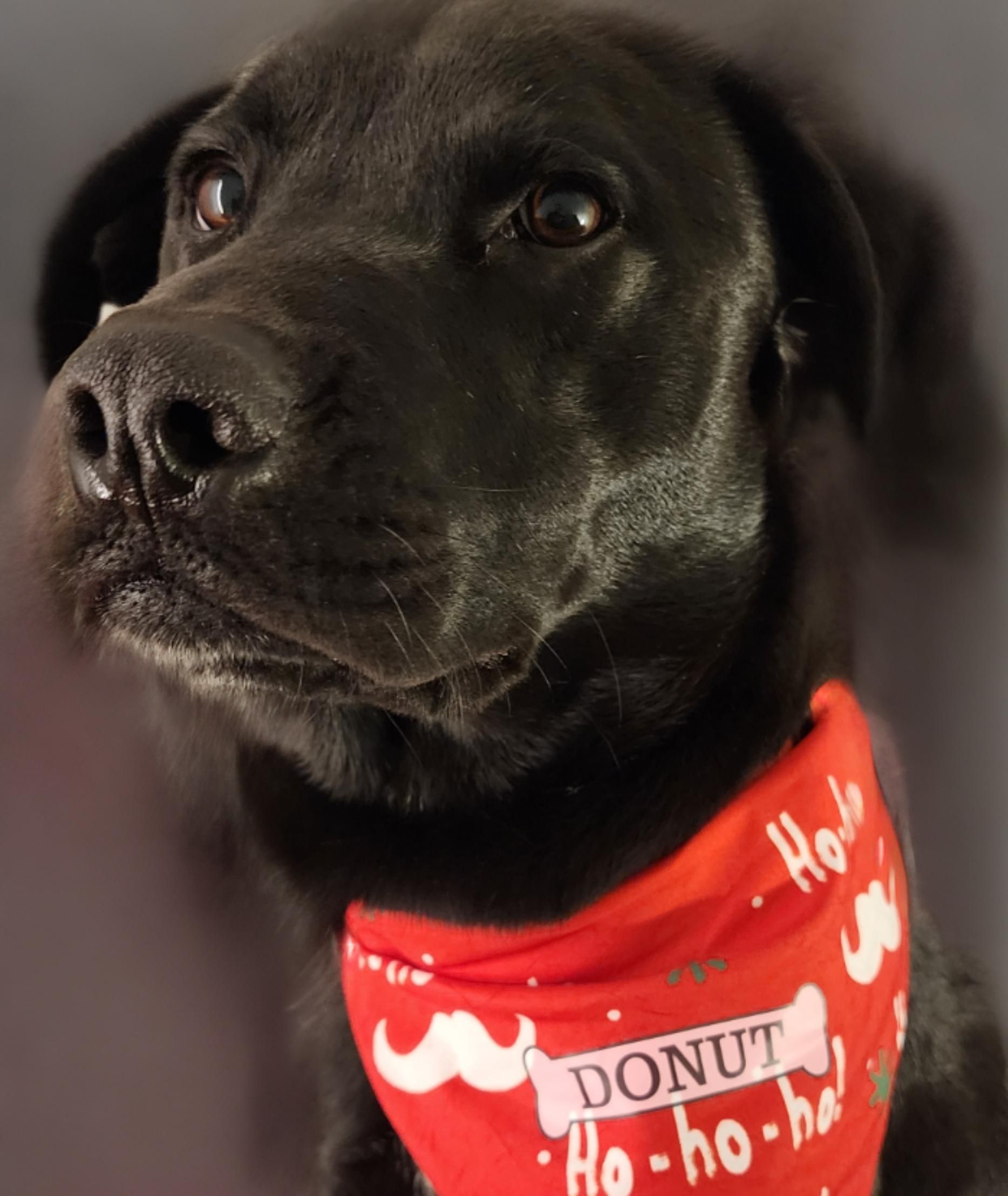 3rdRb Fix Medical MH60