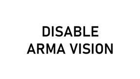 Disable Arma Vision