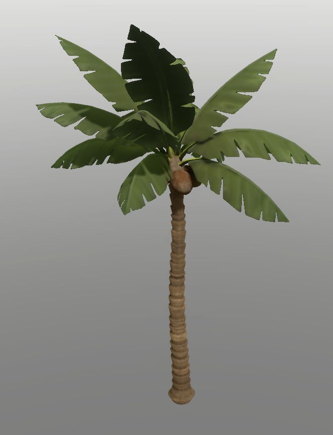 Palmtree