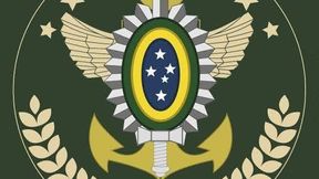 Patria Amada Experimental