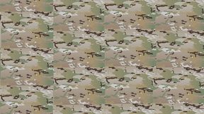 alice multi cam Project