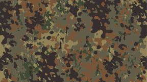 flecktarn Uniform