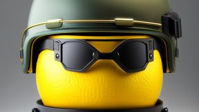 Fox Combat Environment