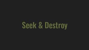 SeekDestroy