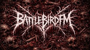 BattleBirdFM
