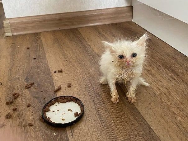 Main Stuff To Arsenal