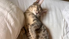 landaire - Group Objectives