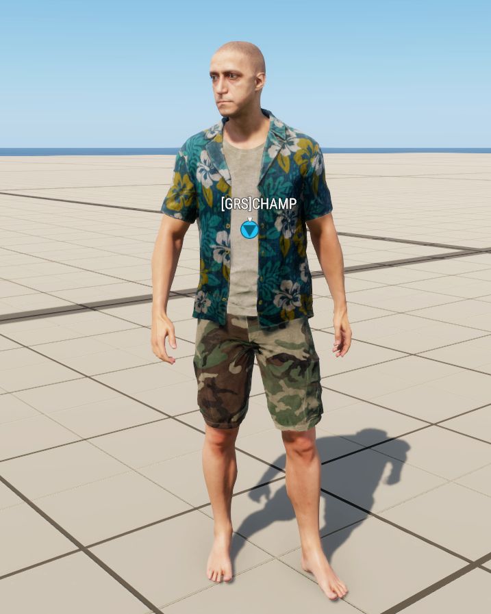 HAWAIIAN_SHIRTS_AND SHORTS preview