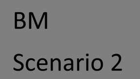 BM Scenarios2