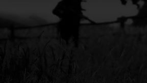 Black Catalyst Faction