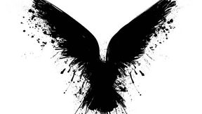 RAVEN SQDRN Patch Test