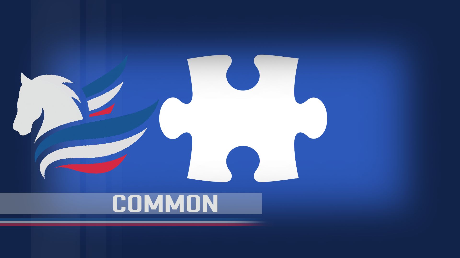 Pegasus Common preview