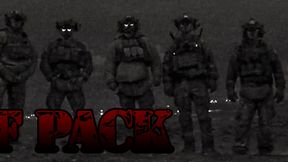 Wolf Pack Arsenal Config