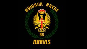 Brigada Nayaf - Armas