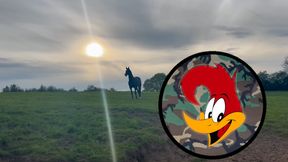 Woodys Modded Missions