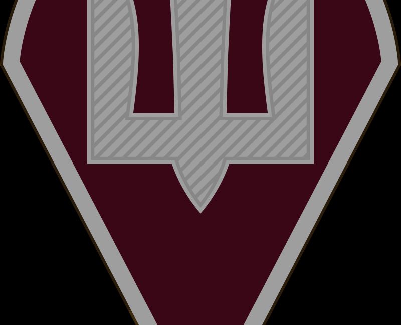 DShV chevron