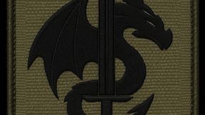 Task Force Excalibur