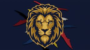 delta lions infoboards