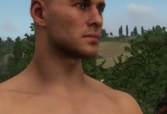 TSE Custom Owerthrow