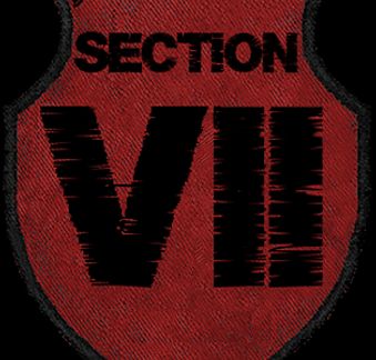 Section 7 Faction