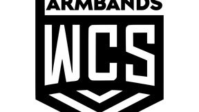 WCS Armbands for PvE