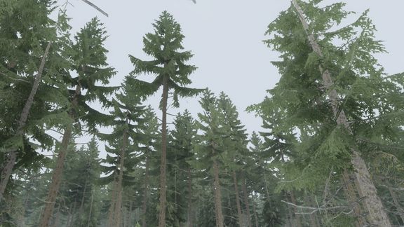 Scenario image