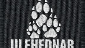 ULFHEDNAR PvE Arsenal