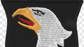 101st milsim patches