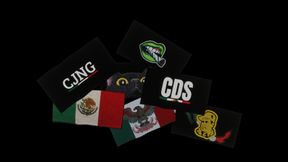Clothing_Patch_Cartel