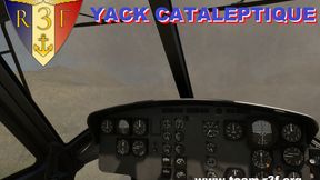 R3F Yack Cataleptique