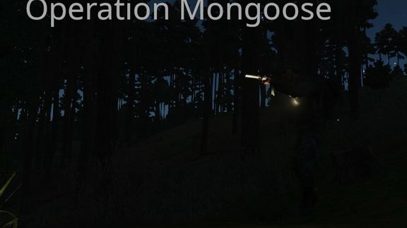 Operation Mongoose