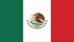 BANDERA MEXICO