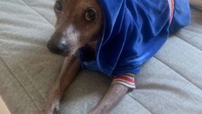 WCS to vanilla arsenals