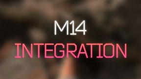 FF - M14 Rifle Integration