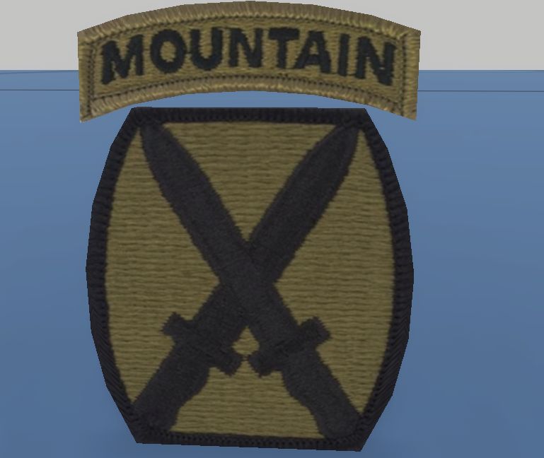 10th Mountain Division Badge