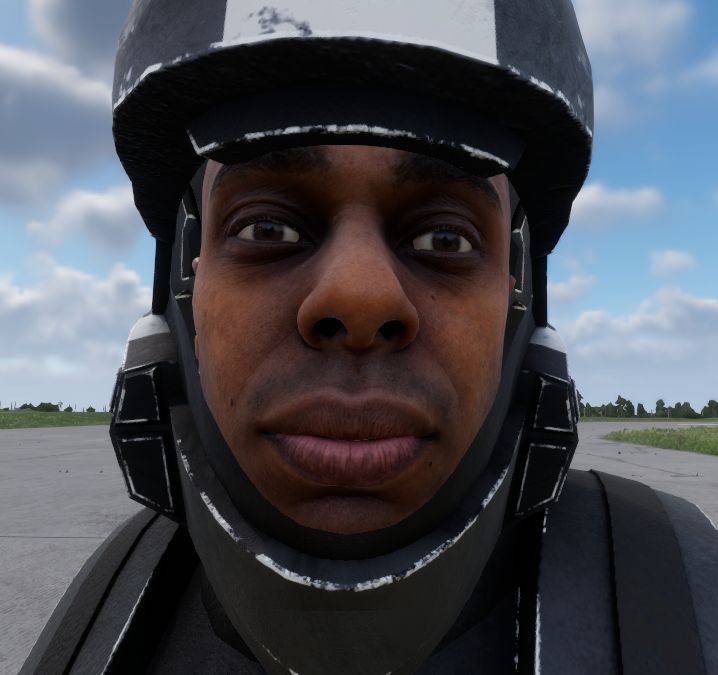 Battle Group Pheonix - ODSTWIP