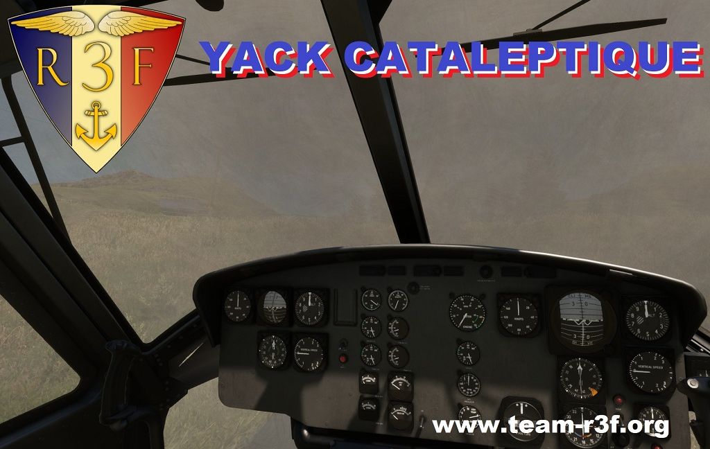 R3F Yack Cataleptique