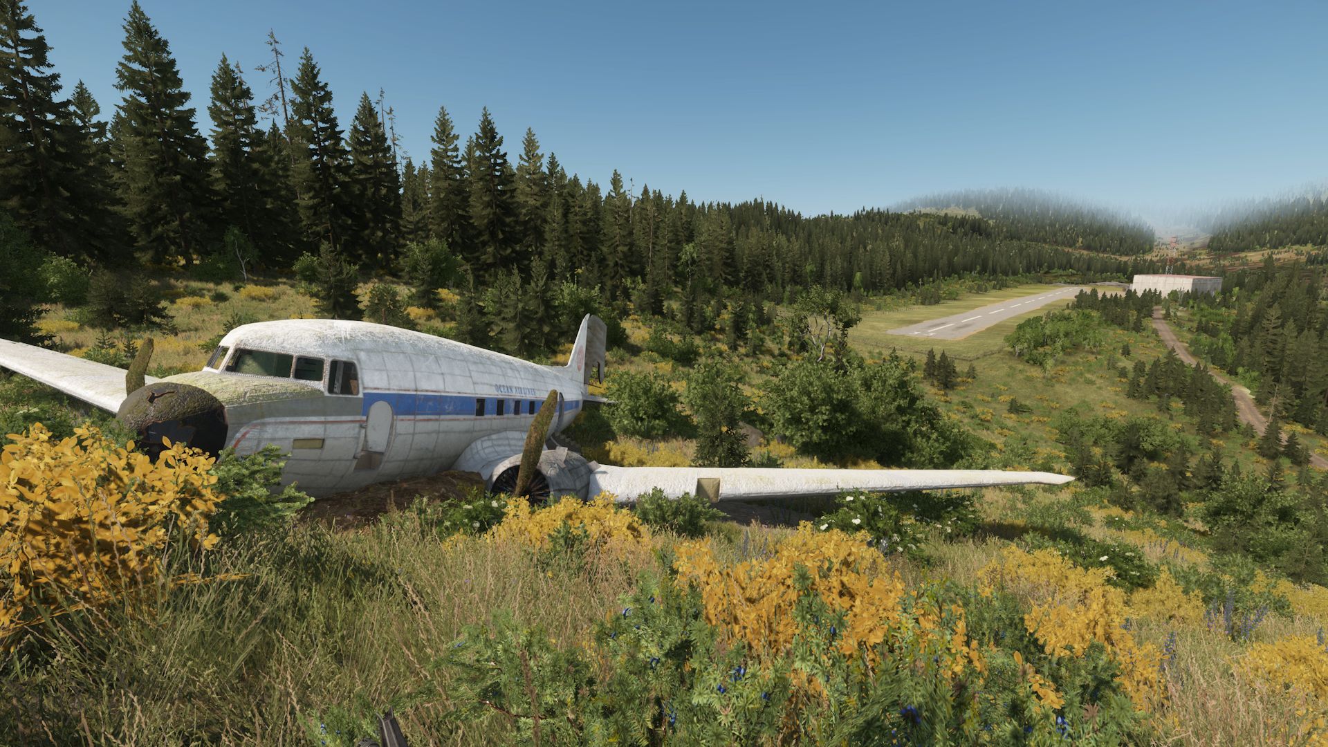 Denali - Base