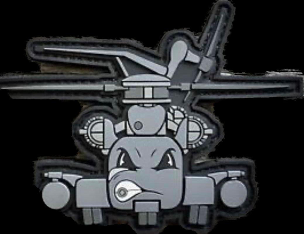 Operazione Lion Rising