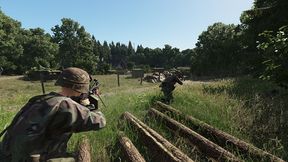 Woodland Assault