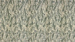 TEST BY YA BOWI KBIZZY