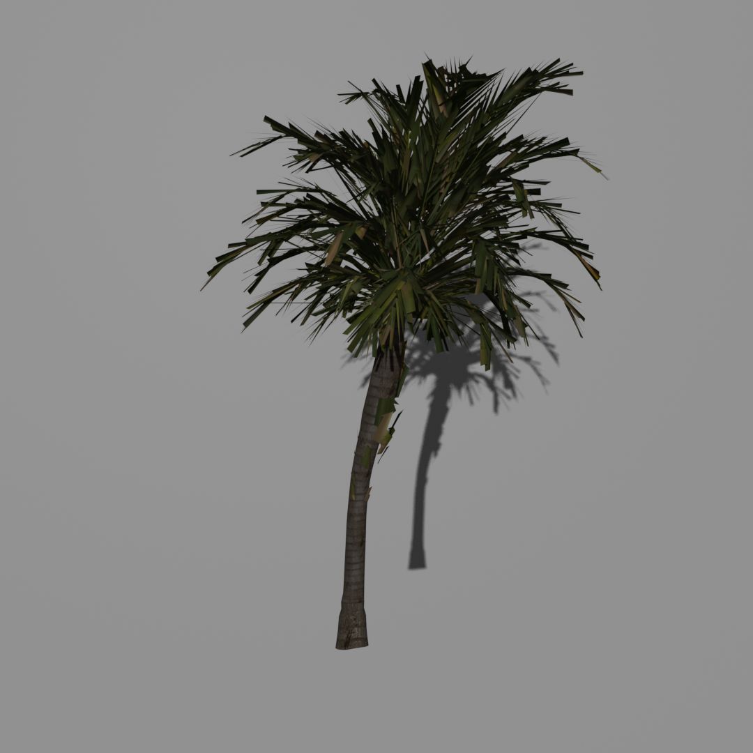 PalmTree preview