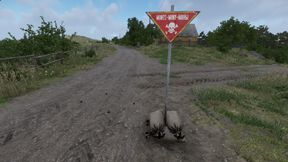 AAO Custom Compositions