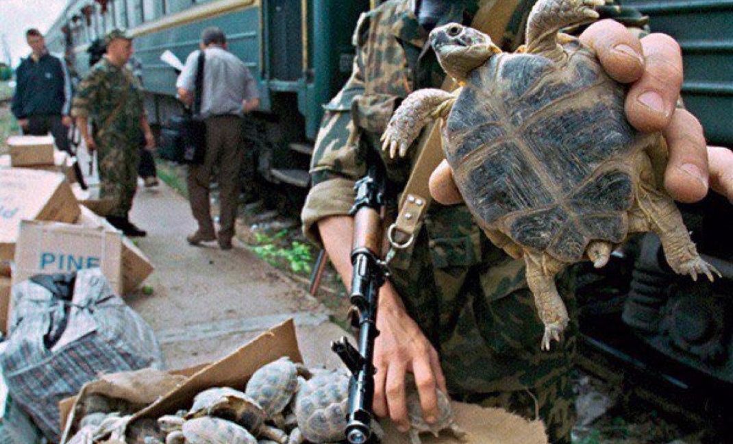 sliding raindrops - TEST